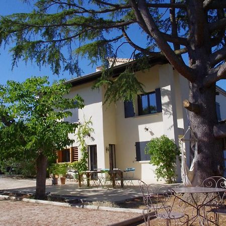 Le Grand Cedre - 2 Chambres D'Hotes - Sud Ardeche Bourg-Saint-Andéol 외부 사진