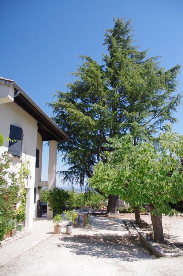 Le Grand Cedre - 2 Chambres D'Hotes - Sud Ardeche Bourg-Saint-Andéol 외부 사진